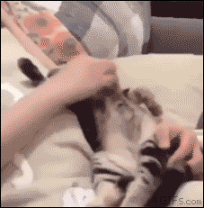 아들~ 일어나~ 학교가야지~ | 인스티즈