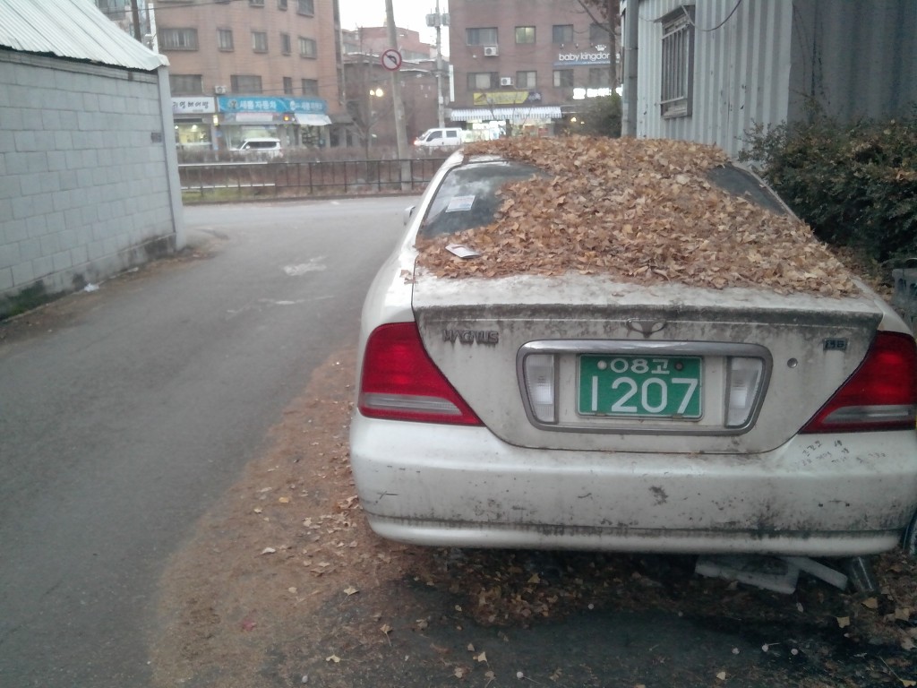 골목달 이미지