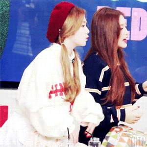 주토피아 주디 닮은 아이린.gif | 인스티즈