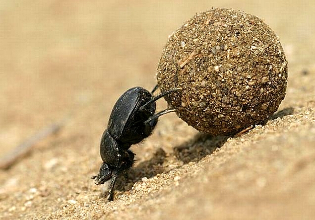 이거 은근 모르는 사람 많음 | 인스티즈