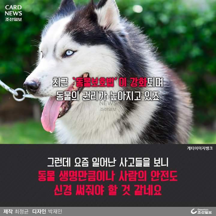우리집 이미지