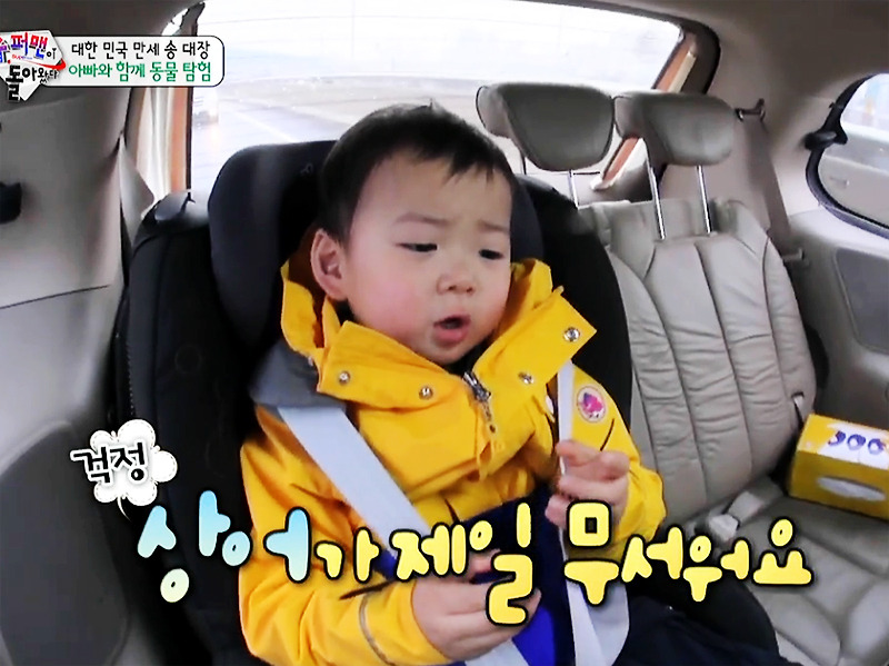 [삼둥이] 핵귀여운 쫄보 밍구기ㅋㅋㅋ | 인스티즈