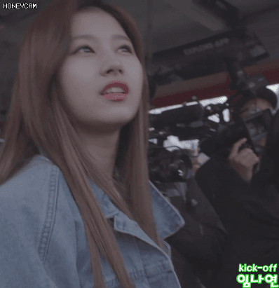 스위스에서 늑대찾는 사나 | 인스티즈