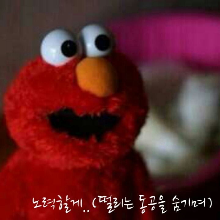흔한 외국어전공자들의 현실 | 인스티즈