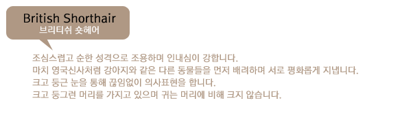 아로미헤어 이미지