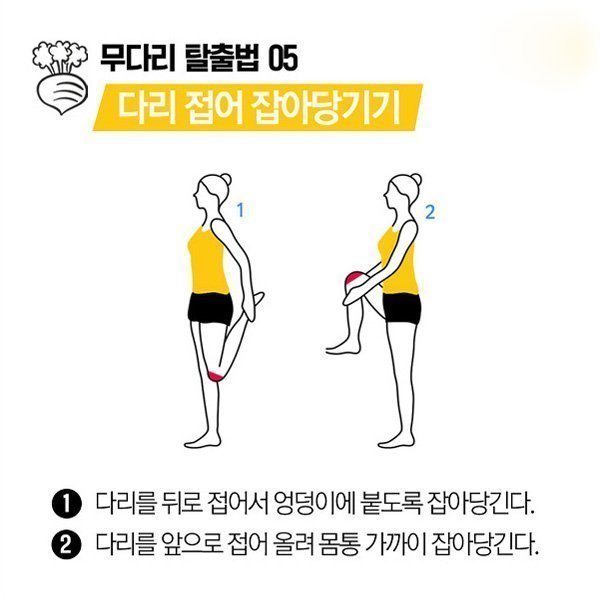퉁퉁부은 무다리 탈출법 꿀팁 | 인스티즈