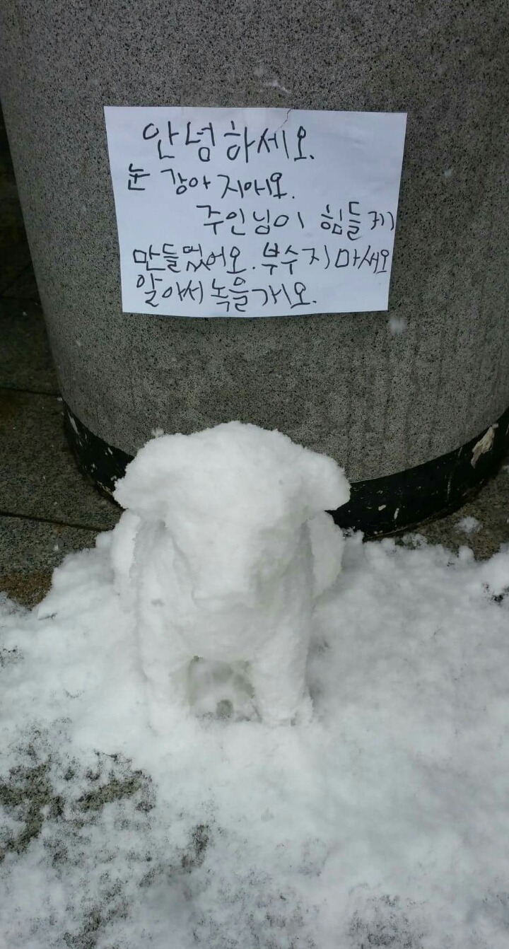 안녕하세요눈강아지애오 | 인스티즈