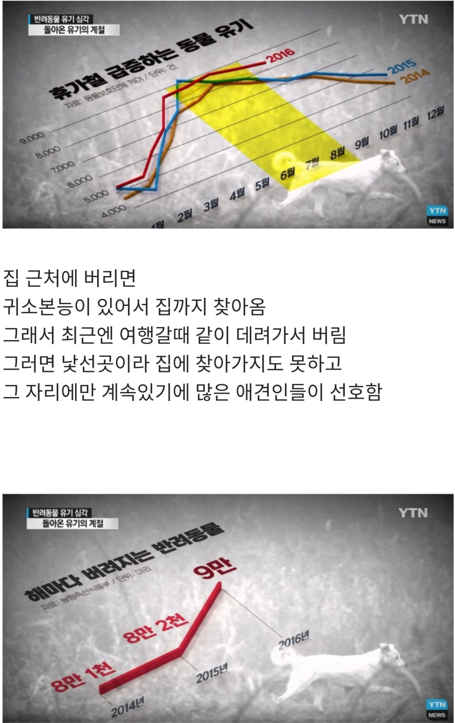 휴가철 버려지는 강아지들 | 인스티즈