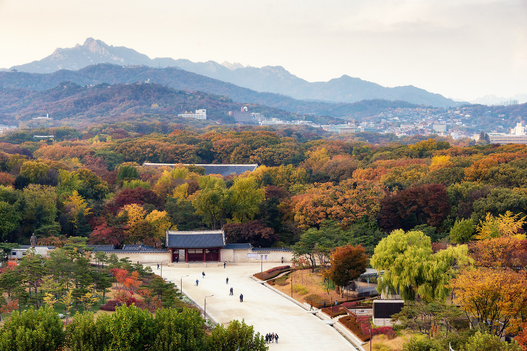 외국인이 찍은 멋진 서울 사진들 | 인스티즈