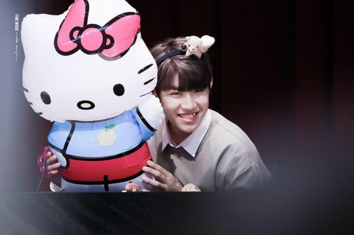 키티 이미지
