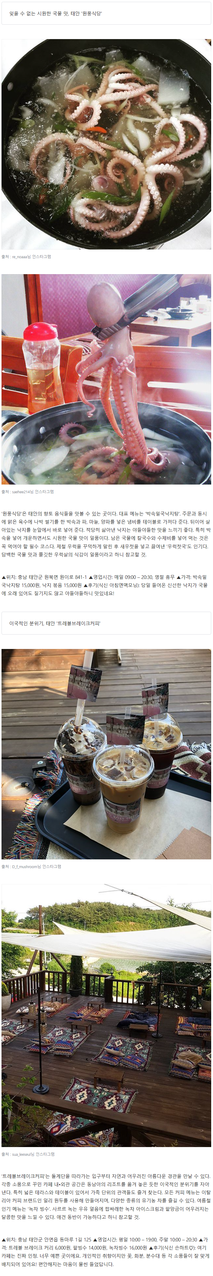 당일치기로 가기 좋은 태안 맛집 BEST 5 | 인스티즈