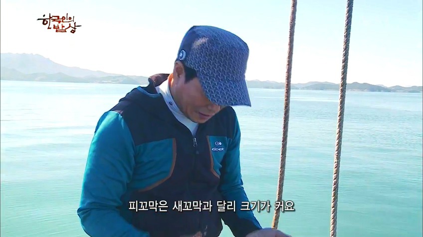 한국인의 밥상 - 인생이 허기질 때 장도로 가라 | 인스티즈