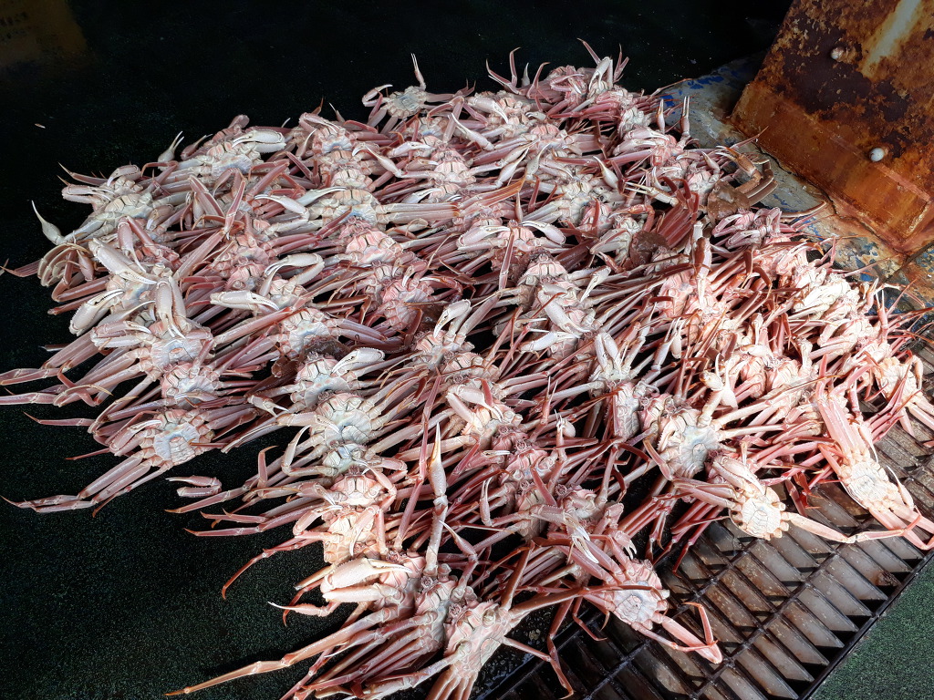 99106F3B5CDCCD6125F420