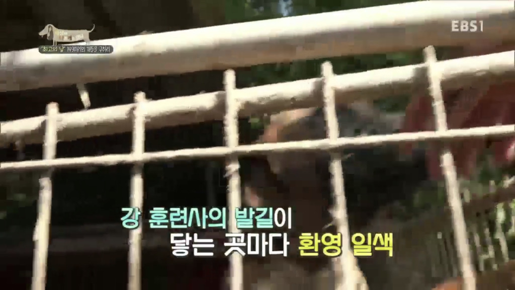 어떻게 사람을 그렇게 좋아할 수 있죠? | 인스티즈