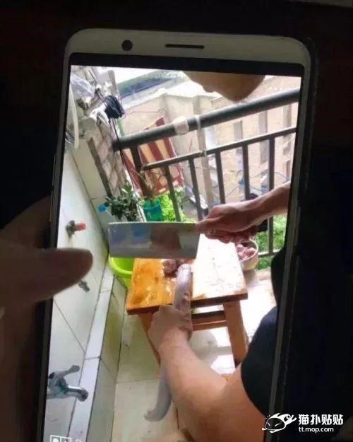 혐주의) 중국 기숙사에 들어온 뱀 | 인스티즈