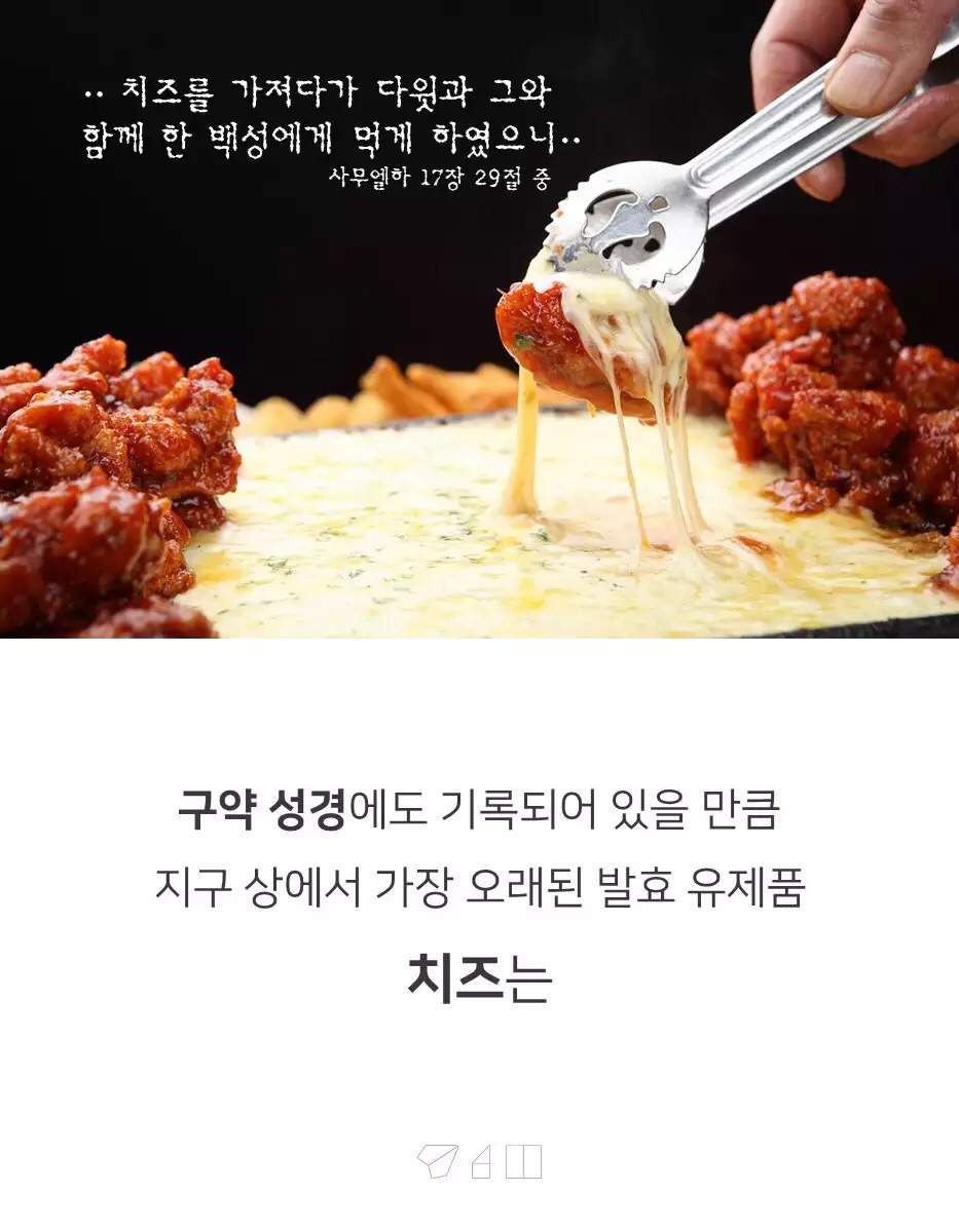 대한민국 치즈의 숨겨진 비밀 | 인스티즈