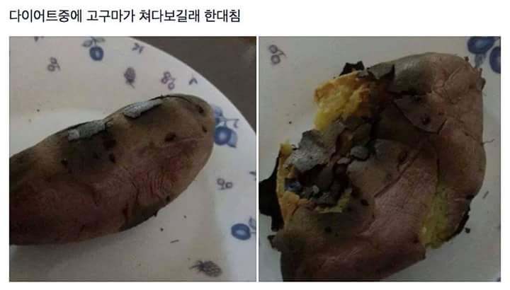 다이어트의 폭력성.jpg | 인스티즈