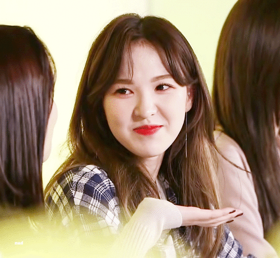 레드벨벳 랜선팬미팅 라이브 방송 비주얼.jpgif | 인스티즈