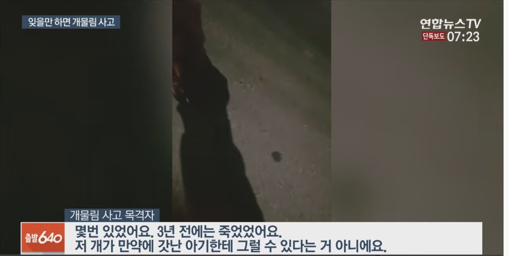 입마개 안한 로트와일러가 지나가는 행인과 강아지 공격해 강아지 15초만에 죽임 | 인스티즈