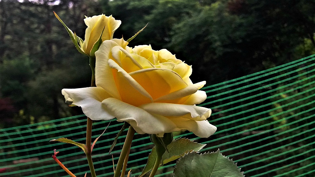 청림원 이미지
