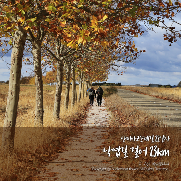 딜로스 이미지