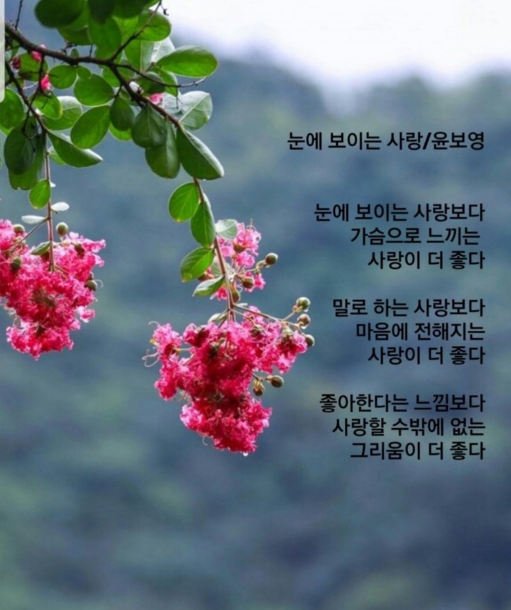 절구통커피 이미지