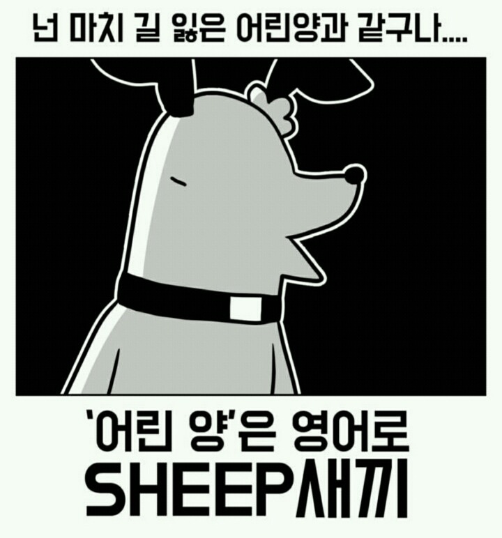 90만원짜리 청소기를 사다니 미친거 아니야? | 인스티즈