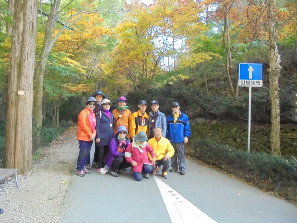 굿모닝 여행사 이미지