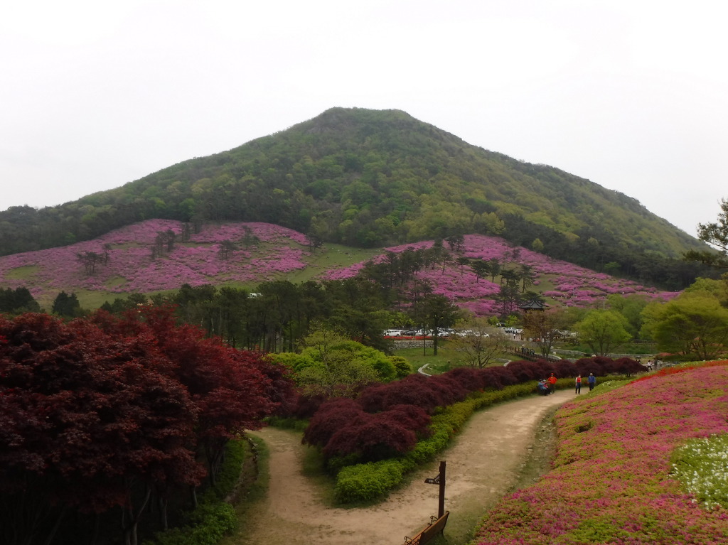 철쭉공원 이미지