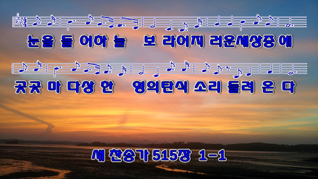 하늘보라 이미지