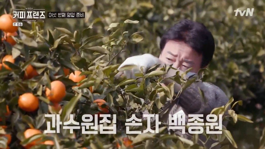 제주도에 알바하러간 백종원 | 인스티즈