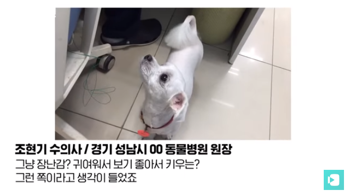 폭염 속 버려진 똘똘이가 모니로 개명한 사연 | 인스티즈