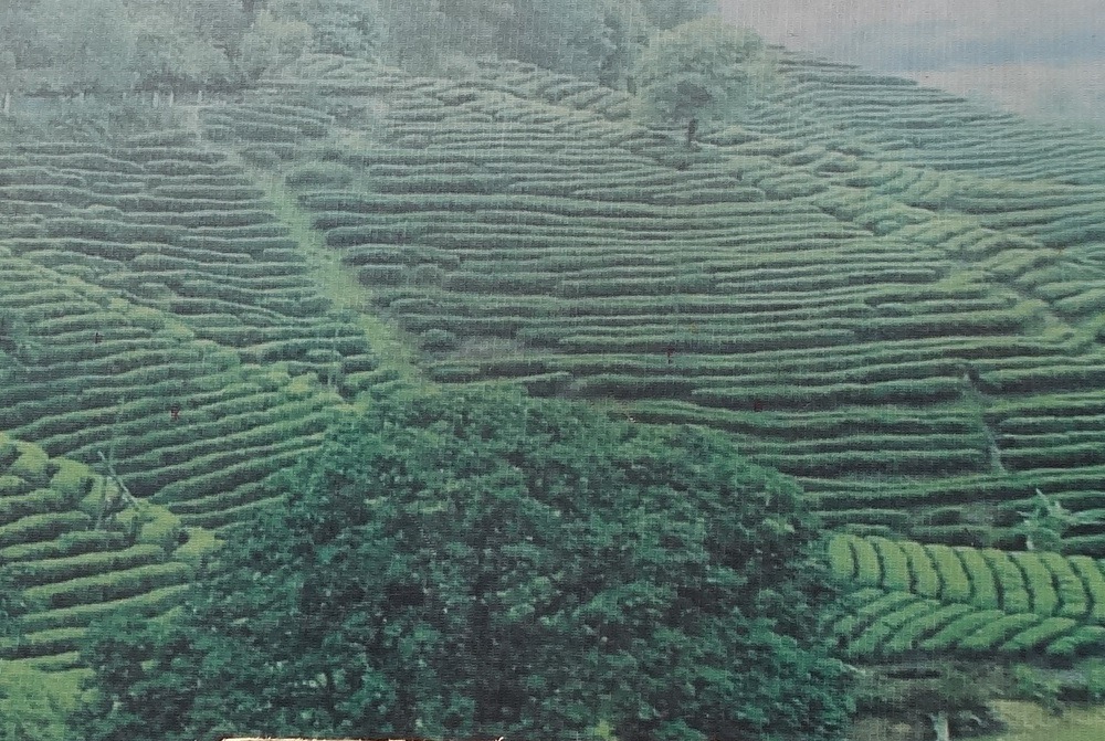 천지사 이미지