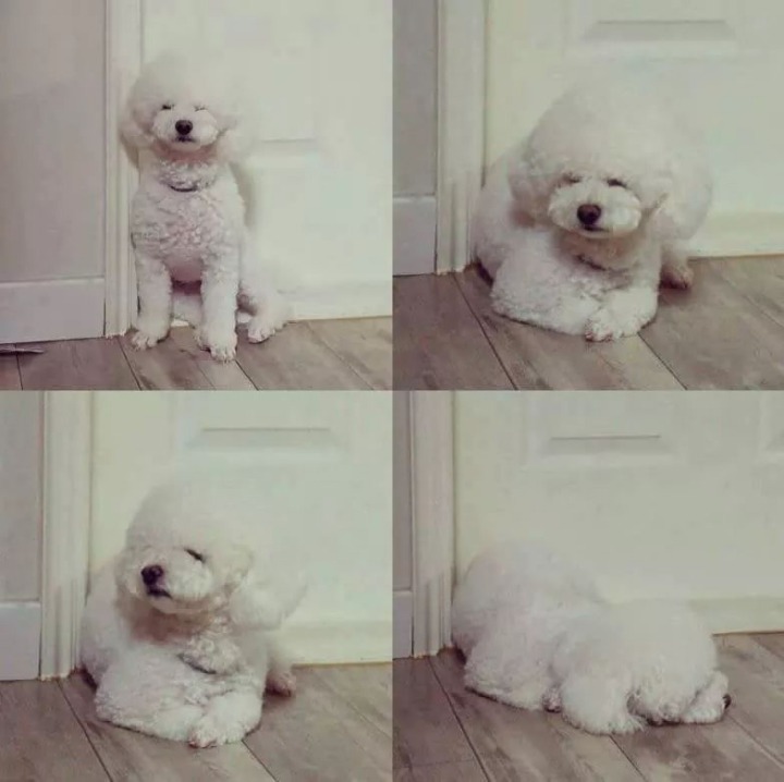 외출한 가족 집에 빨리 돌아오게 하는 방법.jpg | 인스티즈