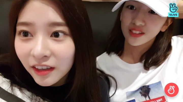 좀 전에 끝난 아이즈원 V앱 멍뭉개굴즈 | 인스티즈