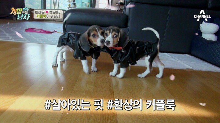 낚시 매니아 이태곤이 도시어부 못나온 이유 | 인스티즈