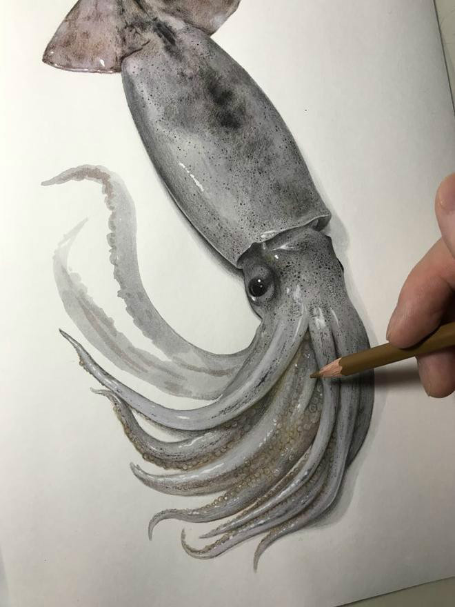 극사실주의 그림 | 인스티즈