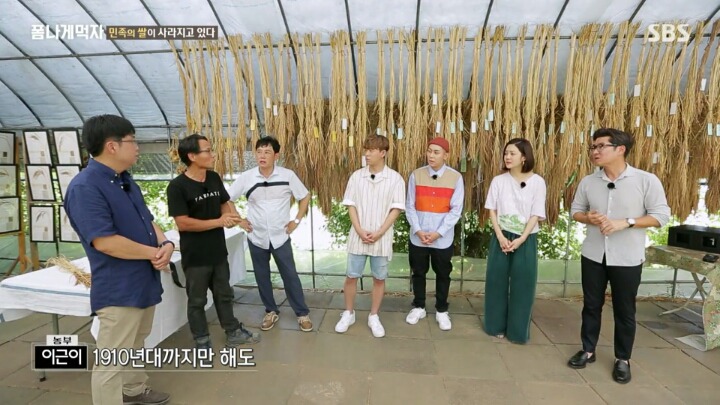 한반도의 토종 벼 품종.JPG | 인스티즈