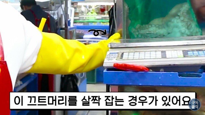 수산시장에서 바가지 안당하는법.JPG | 인스티즈