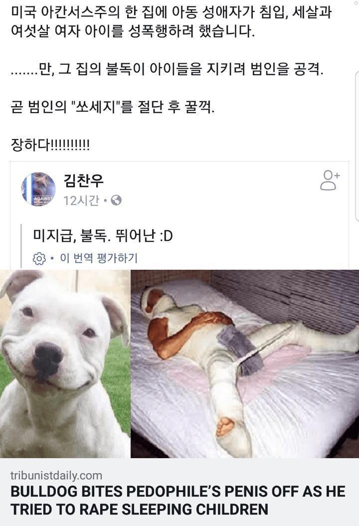꿀꺽 이미지