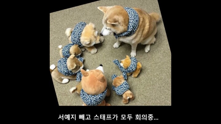 실제 구해줘가 된 서예지 (feat.감독이 미쳤어요) | 인스티즈