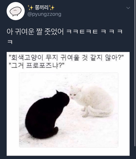 내가 좋아하는 트위터 아무말대잔치 모음 2탄.zip | 인스티즈