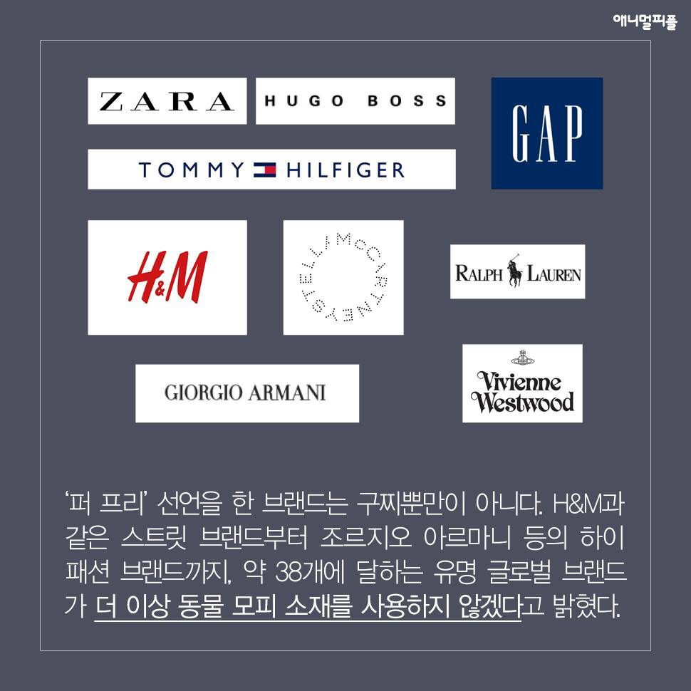 ??? : 아니 ㅅㅂ 말 못하는 강아지를 왜 때려...무슨 죄가 있다고... | 인스티즈
