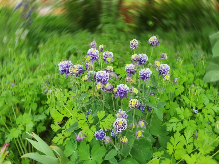 99437E365CD8BBEA0E5782