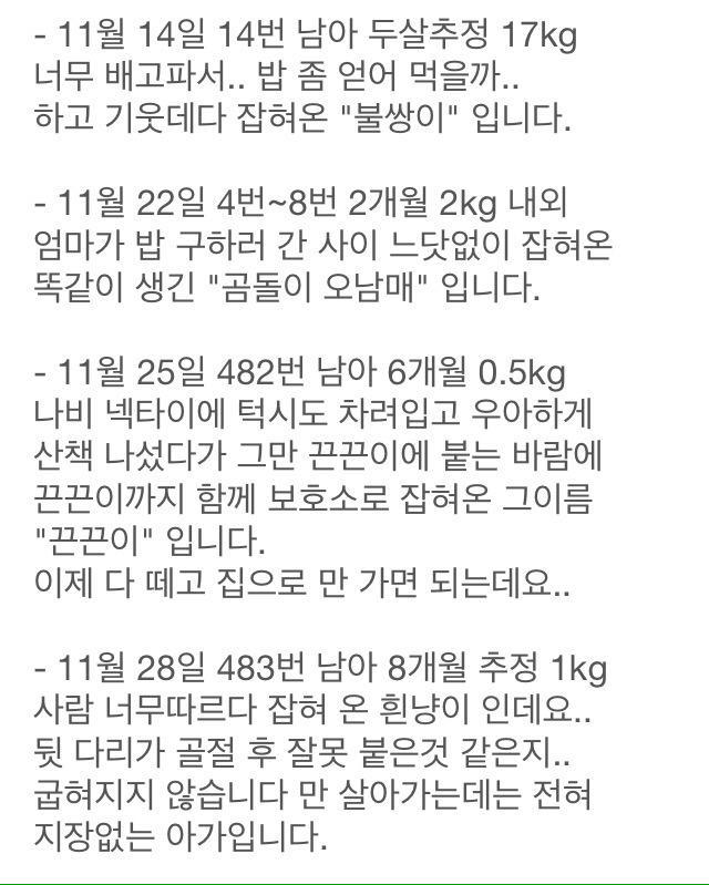 이번주 안락사예정 유기견아이들 꼭 공유부탁드려요 | 인스티즈