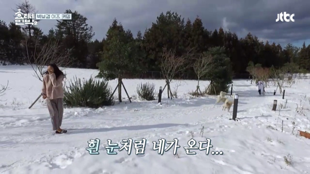 [효리네민박2] 박보검을 본 이효리 반응.jpg | 인스티즈