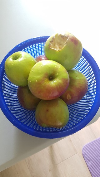영해 이미지
