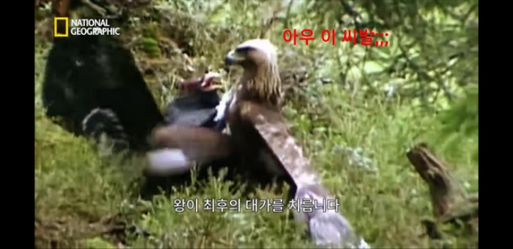 분노조절을 잘 해야하는 이유 | 인스티즈