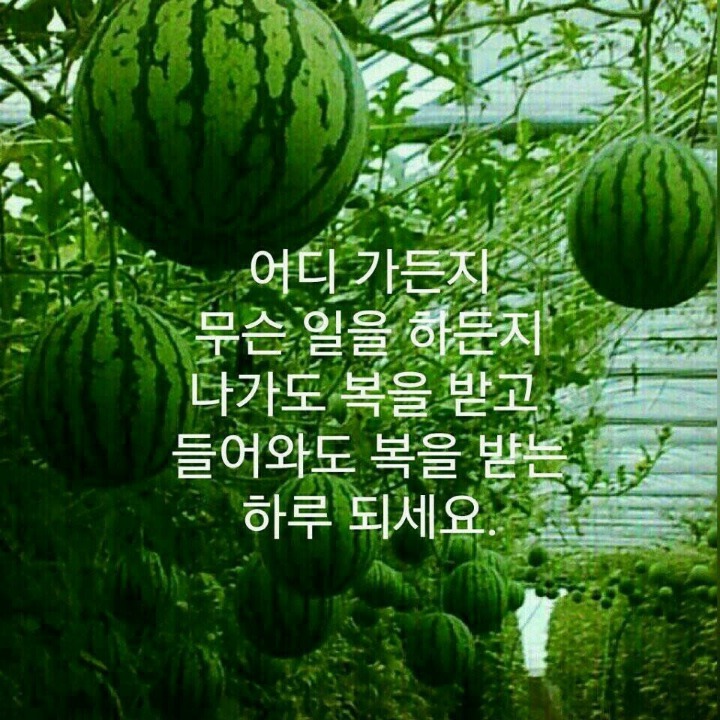 엄마반찬사주세요 이미지