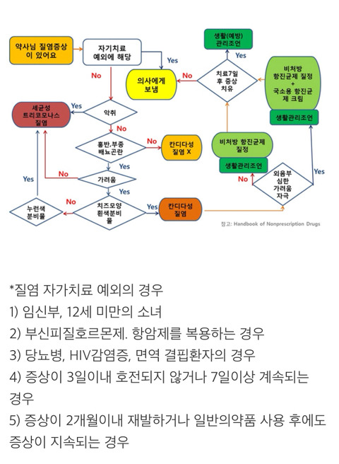 여성의 75%가 평생 한 번 이상 경험하는 칸디다성 질염 자가진단 | 인스티즈